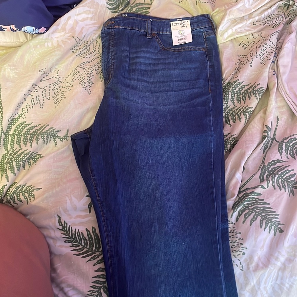 Plus Terra Sky Jeans